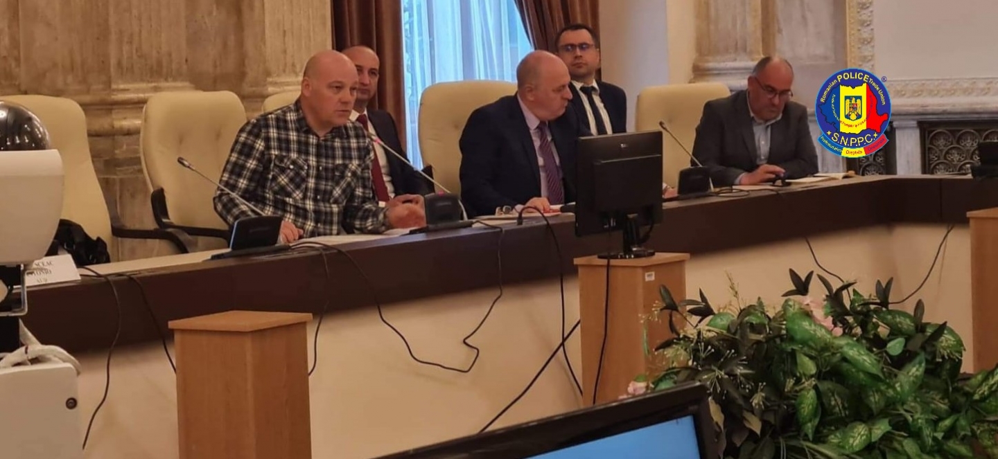 Presedintele SNPPC, Vasile Zelca, la sedinta Comisiei de Buget din Camera Deputatilor  - 19.04.2022